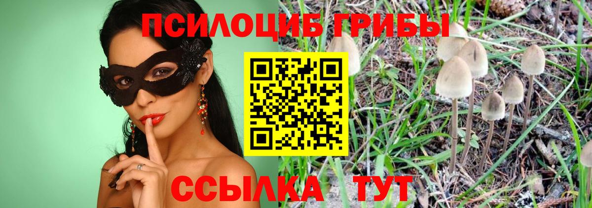 Псилоцибиновые грибы мицелий  Вход с VPN  Кызыл  Галлюциногенные грибы прущие грибы 